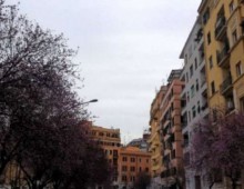 Via Urbino: sventato tentativo di furto Via Urbino: sventato tentativo di furto